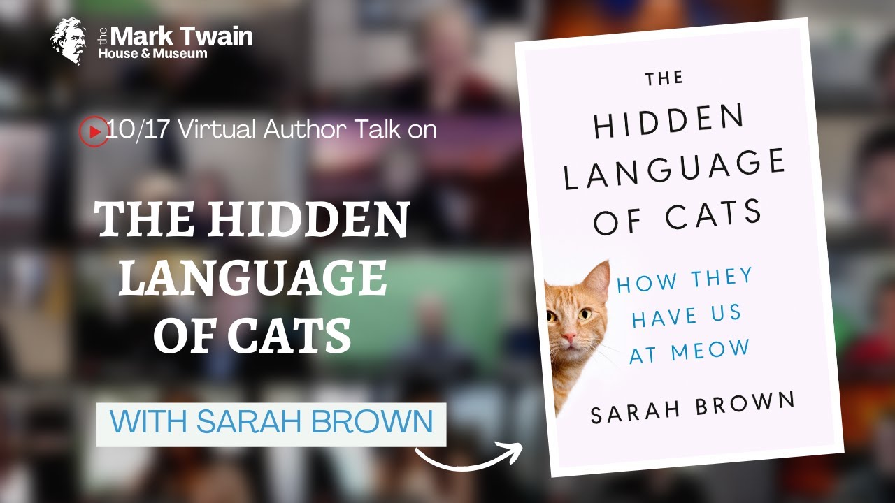 You Had Me At Meow: On the Hidden Language of Cats ‹ Literary Hub