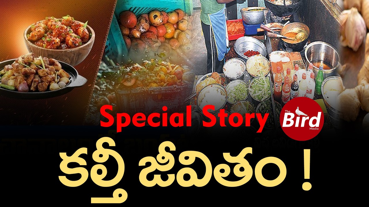 Special Story : కల్తీ జీవితం ! | Adulteration Food In Our Daily Routine | Bird Media |