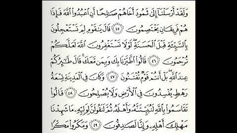 تلاوات مختارة سورة النمل كاملة القارئ عامر المهلهل