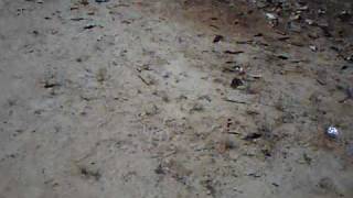 Imagem 259.avi