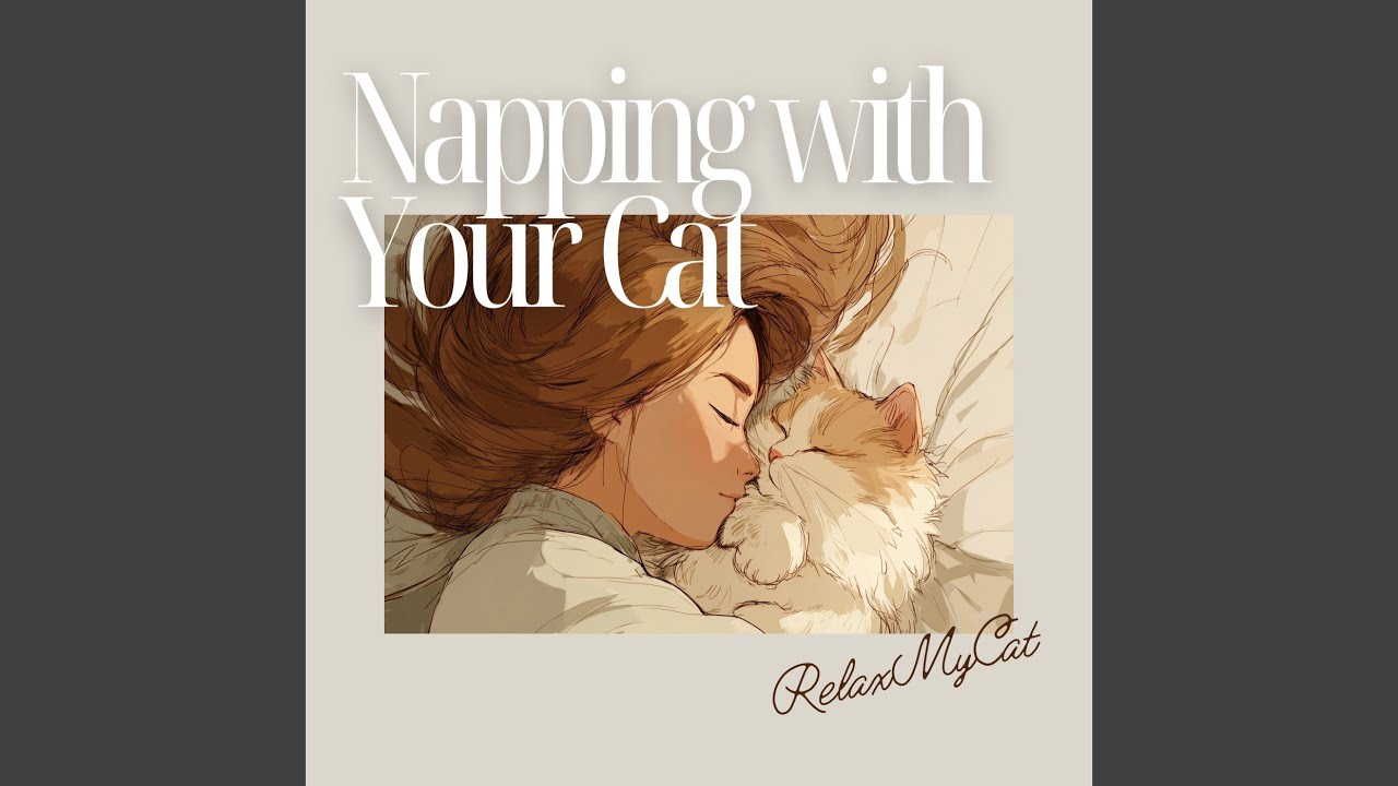 Watch Bonding Nap on YouTube Watch Bonding Nap on YouTube