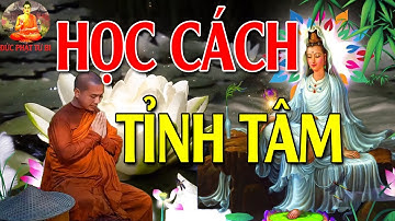 Mỗi Đêm Nghe Phật Dạy HỌC CÁCH TĨNH TÂM thì trí tuệ càng cao để cuộc sống thanh thản giác ngộ an lạc