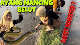 MANCING BELUT SAWAH - AYANG JAGO MASUKIN❗️