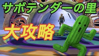 Ff10 Hd Ps4pro サボテンダーの里攻略方法 出現場所とパターンを大公開 Youtube