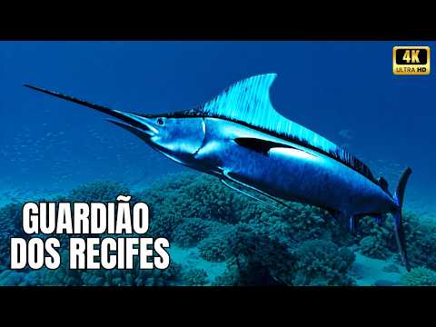 ILHAS TROPICAIS — A Força Invisível Que Impede o Colapso do Oceano