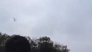 Flapping Wing Flying Dragon