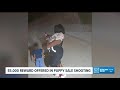 Man accused of firing shots at car with child inside during puppy sale gone wrong in Atlanta