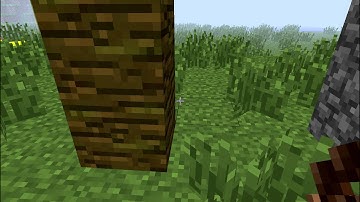 Minecraft Tutorials:How To Make A Cocoa Bean Farm