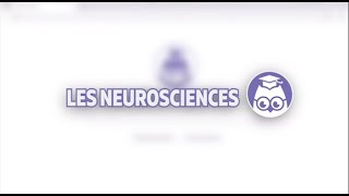 Tout savoir sur les neuromythes  Les neurosciences  Les Bons Profs