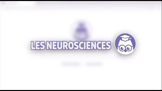 Tout Savoir Sur Les Neuromythes - Les Neurosciences - Les Bons Profs