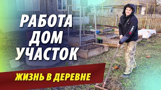 Работы МНОГО не бывает. Как прошла НЕДЕЛЯ в деревне?