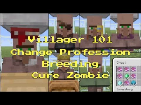 Comment Changer De Profession De Villageois Dans Minecraft