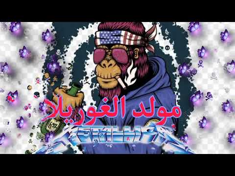 مولد الغوريلا   2022