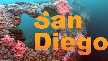 Wreck diving in SAN DIEGO - Yukon, Ruby E & NOSC Tower