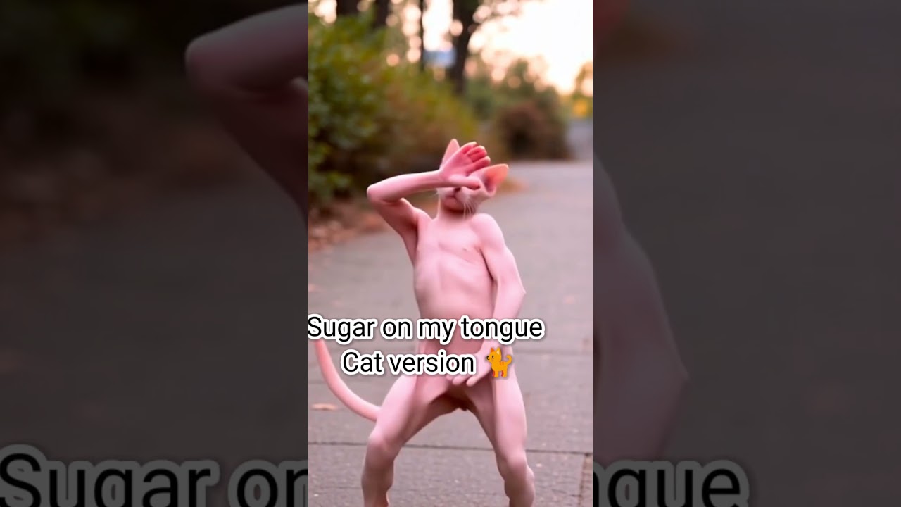 Sphynx Cat the best dancerist🐈