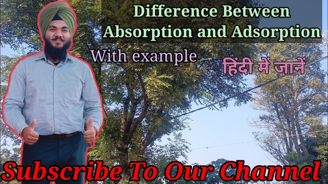 Difference Between Absorption And Adsorption in hindi // Define Adsorption // Define Adsorption