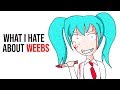 What I hate about weebs