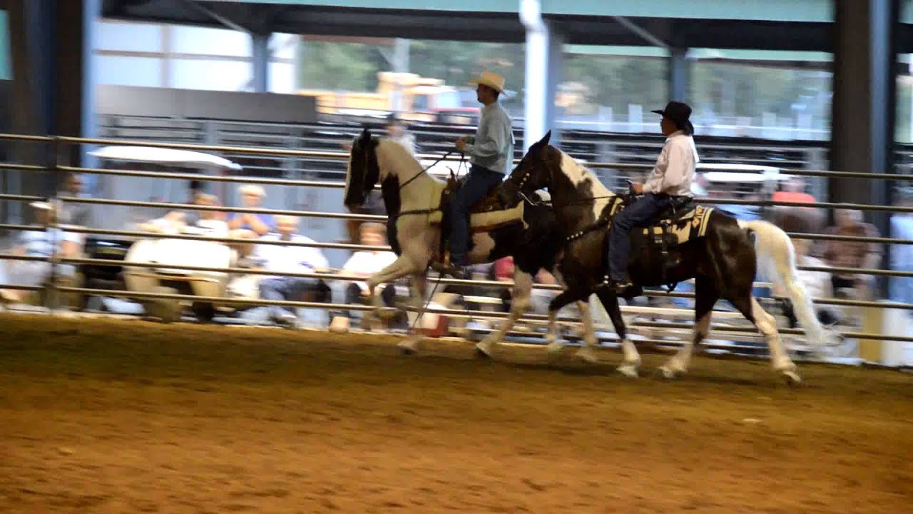 Speck of Smoke SSHBEA