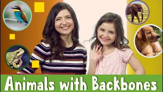 Animals with Backbones: Fun Science for Kids! 🦴🐠 | Acellus Grade 2