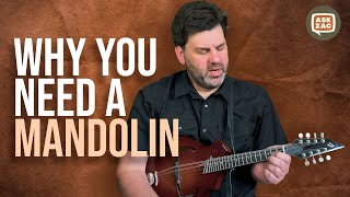 Why Guitarists Should Play Mandolin - ASK ZAC EP 25