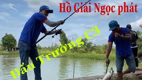 Câu Cá Tra Giải Hồ Ngọc Phát.giải C3.Cám T1 đồng hành