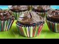 Easy Chocolate Cupcakes - One  bowl, No eggs, Vegan Cupcakes if you skip the frosting.