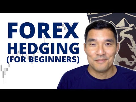 Forex Hedging for Beginners (with Examples) | Trading Heroes