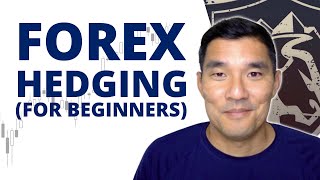 Forex Hedging for Beginners (old version)