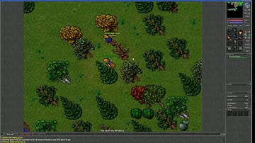The beginning quest tibia