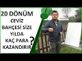 20 DÖNÜM CEVİZ BAHÇESİ SİZE YILDA KAÇ PARA KAZANDIRIR ???