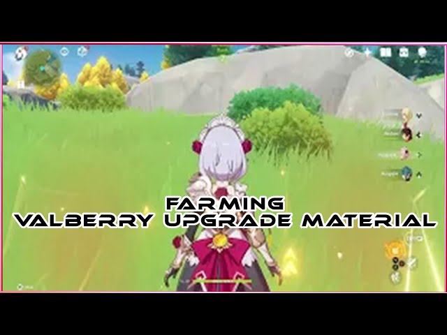 How To Farm Valberry Upgrade Material - Genshin Impact (Briony)