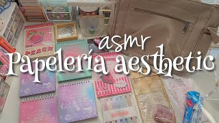 asmr Haul de papelería bonita ft. stationery pal