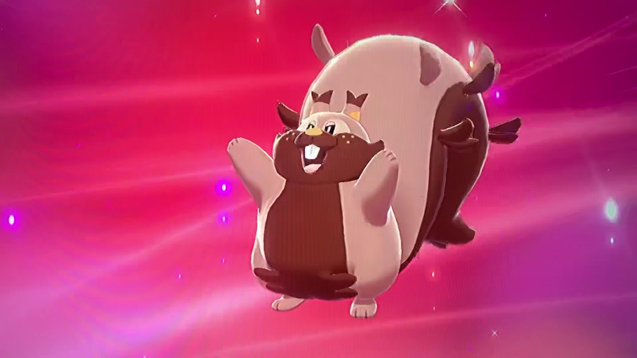 Pokemon Sword And Shield Skwovet Evolution Into Greedent YouTube