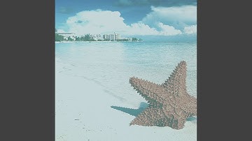 Phenomenal Backdrops for Irie Vibes