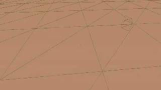 triangle mesh bug