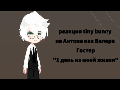 реакция tiny bunny на Антона как "Валера Гостер" дисклеймер в описании!