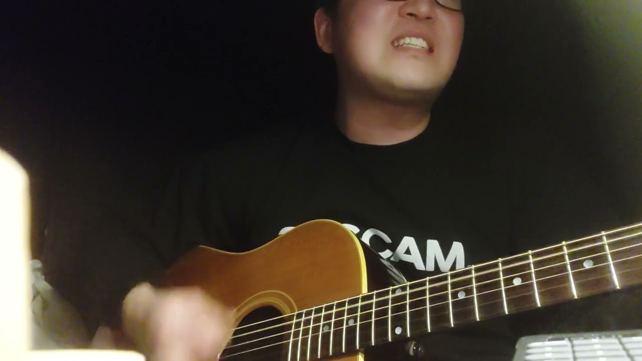 Aerosmith Pink (Acoustic Cover)