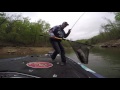 The Best Catches from Day 3 on Beaver Lake