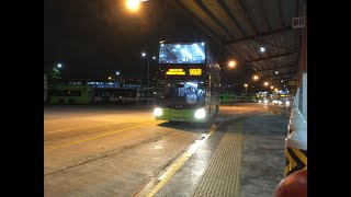 SMRT Bus Service 966A [SG6096Y]: Blk 223 → Trellis Twrs