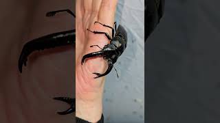 물리면 어떻게하지~~@@;; 걱정~!!!  다행히 물리지는 않았지만 겁먹은듯!