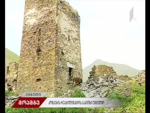 კოშკების რეაბილიტაციის საკითხი უშგულში