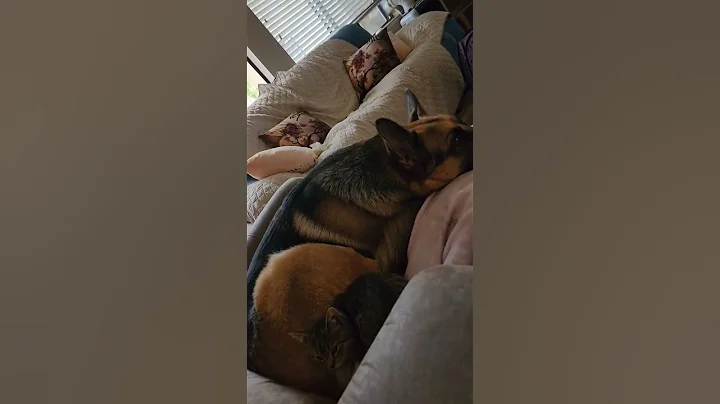 Best Friends