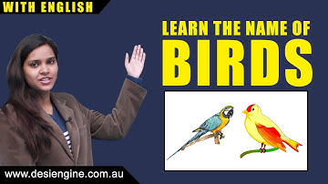 Learn the Name of Birds | Learn English | Desi Engine India