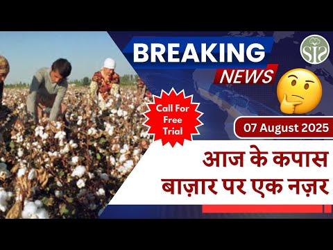 जानिए कैसा रहा आज सम्पूर्ण भारत का रुई बाज़ार 🤔|| today's cotton market update #smartinfo #cci