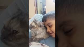 Atishay unique aalas mala aalay… pan ha tar world record break karto 😴🐱.