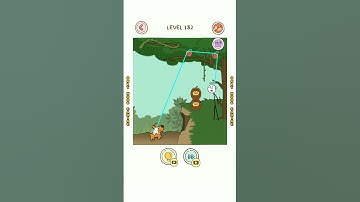 Thief Puzzle Level 132