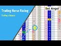 Betfair trading - Horse racing - Trading a bounce - Peter Webb