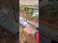 emenda da ferragem viga baldrame fundação pra sobrado #obra #construção #pedreiro #dica #engenharia