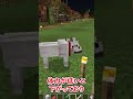 マイクラ豆知識　part8 #マイクラ #マインクラフト#minecraft #shorts