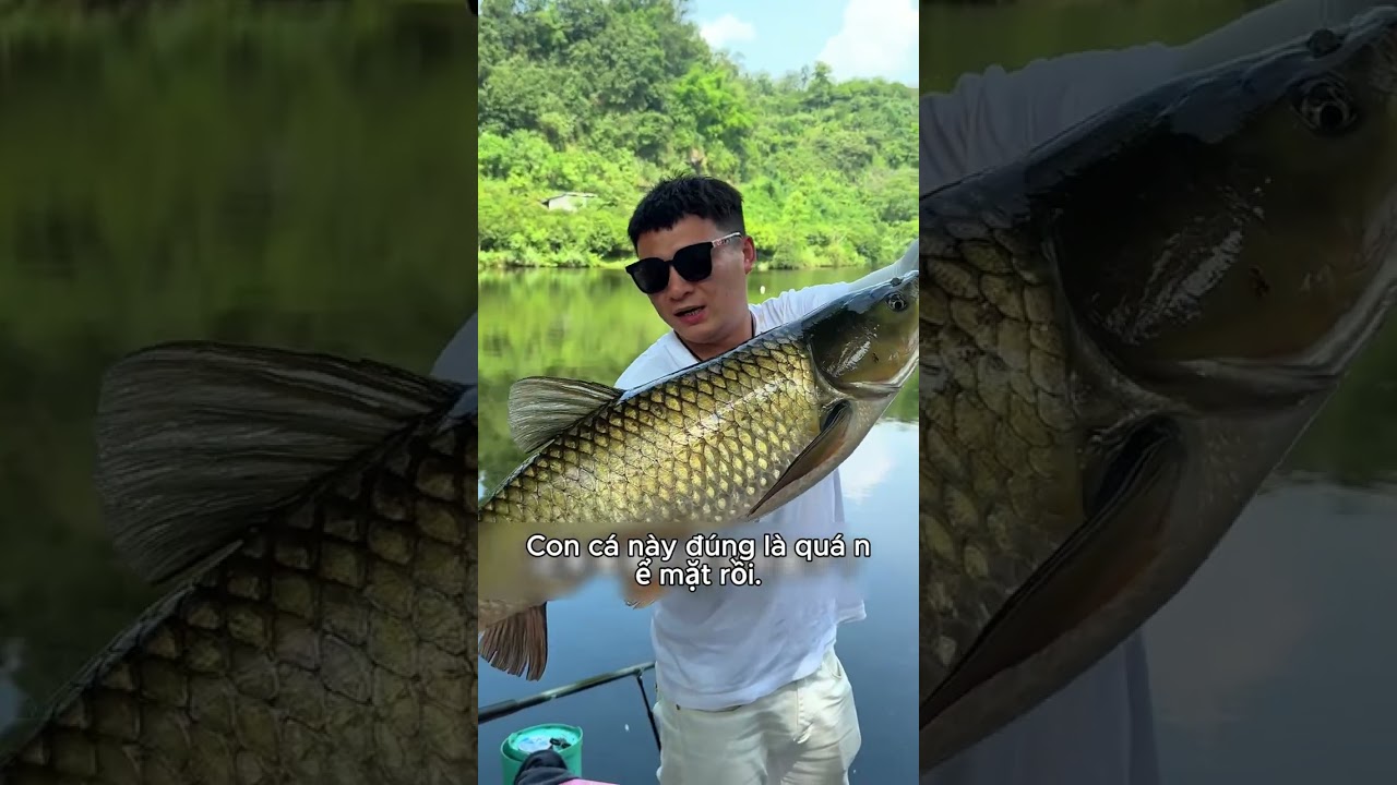 Mấy cô gái cho tôi mượn lương thực, tôi đi câu cá lớn mang về cho họ ăn